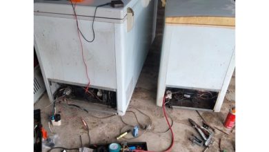 service freezer jogja